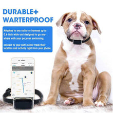 Load image into Gallery viewer, Mooond | Pet neck band GPS | Water resistant
