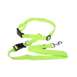 Mooond | Dog leash | Jogging