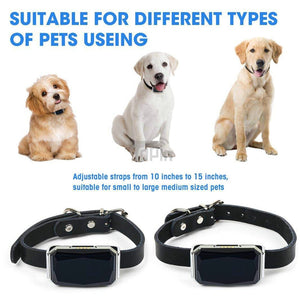 Mooond | Pet neck band GPS | Water resistant