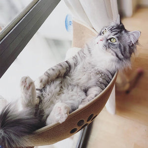 Mooond | Cat Hammock