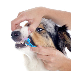 Mooond | Pet Toothbrush