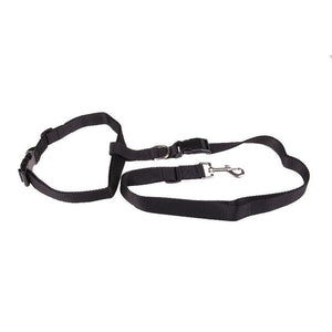 Mooond | Dog leash | Jogging